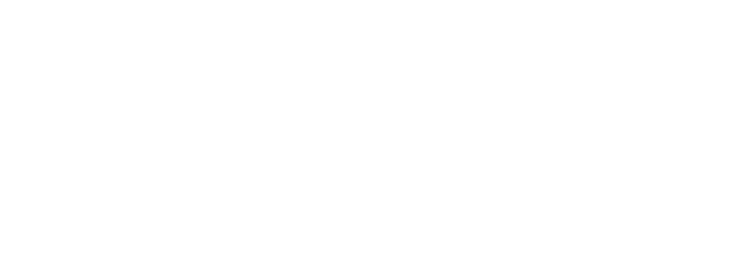 Logo Energía y Potencia Blanco